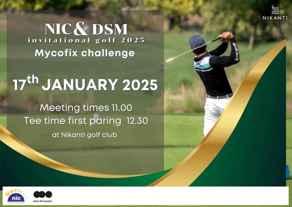 NIC&DSM Invitational golf 2025